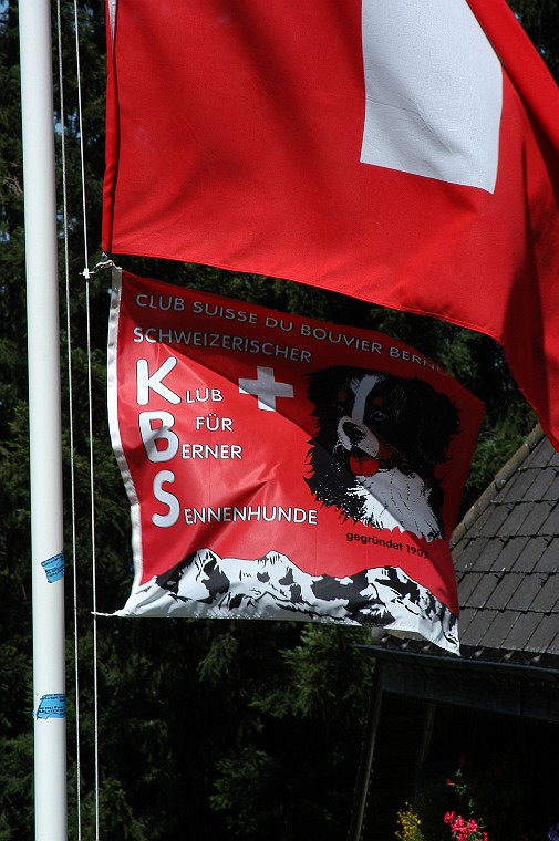 Die Leidenschaft auf der Heimenrueti
